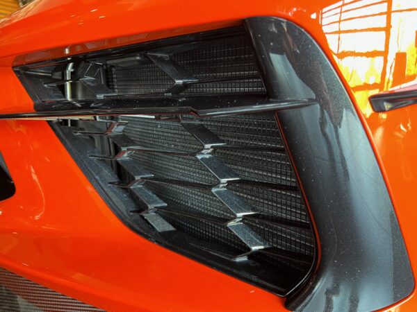 Kühlerschutz-Gitter Corvette C8 Geiger